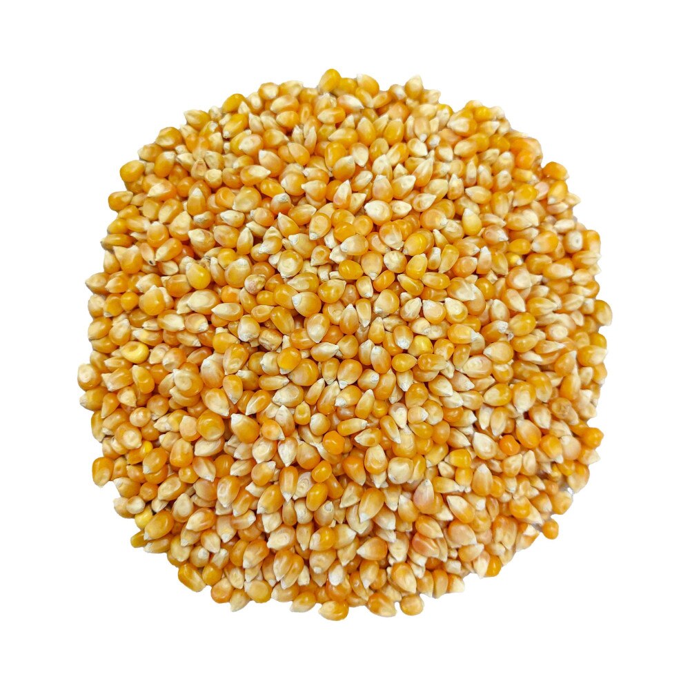 Alicampo Popcorn Butterfly Kernels